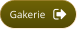 Gakerie