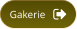 Gakerie
